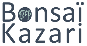 Bonsai Kazari