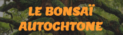 Le bonsai autochtone